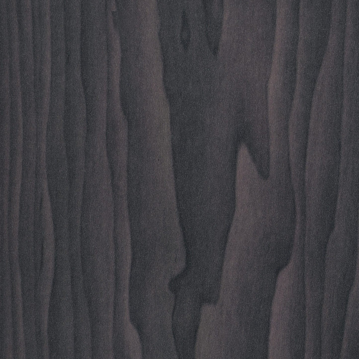 LATRIX -  CURIO CABINET