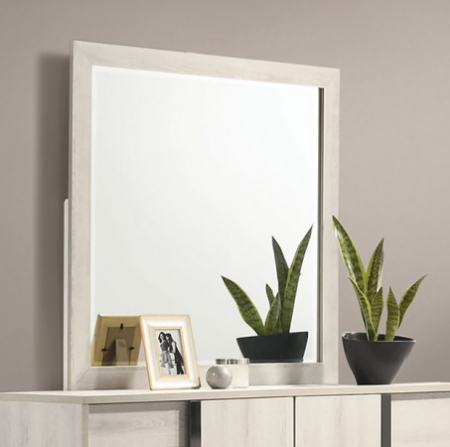 HOST - MIRROR